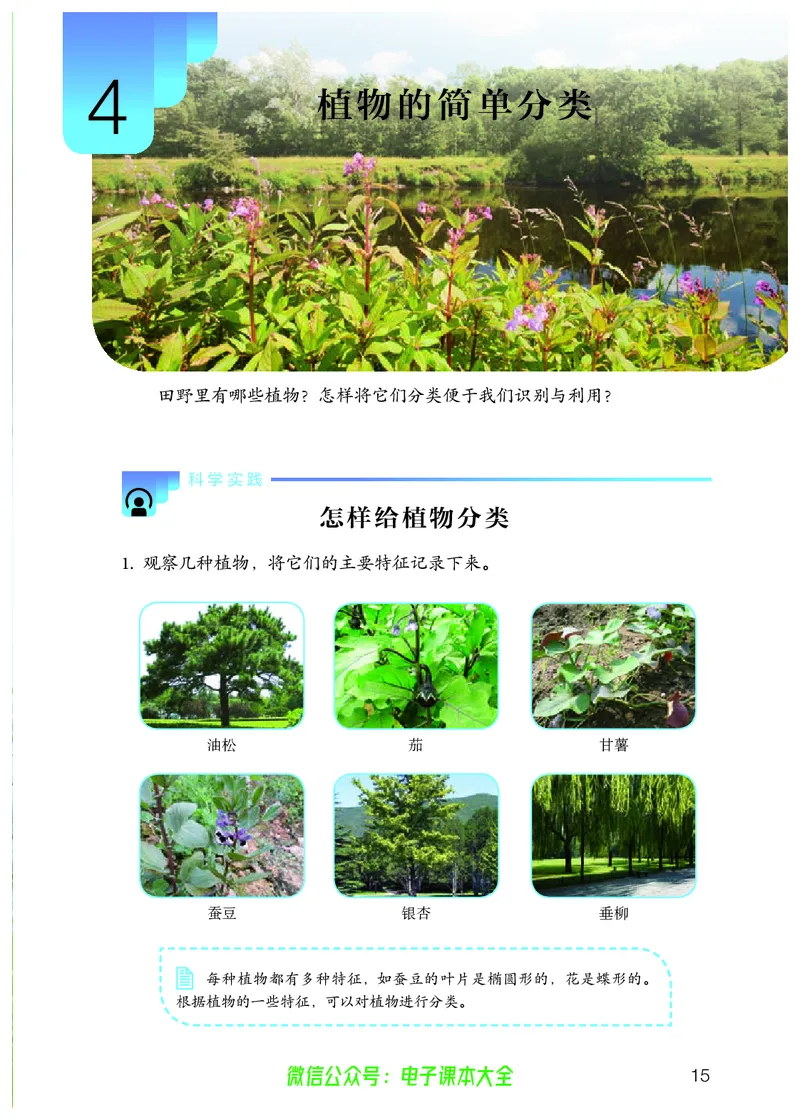 义务教育教科书科学六年级上册_电子课本_小学电子课本_05科学_人教版