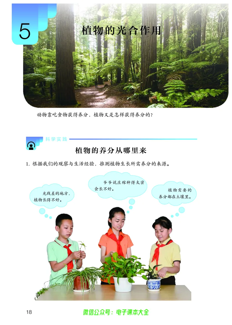 义务教育教科书科学六年级上册_电子课本_小学电子课本_05科学_人教版