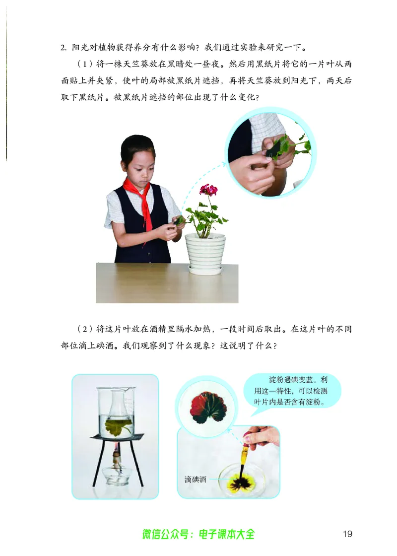 义务教育教科书科学六年级上册_电子课本_小学电子课本_05科学_人教版