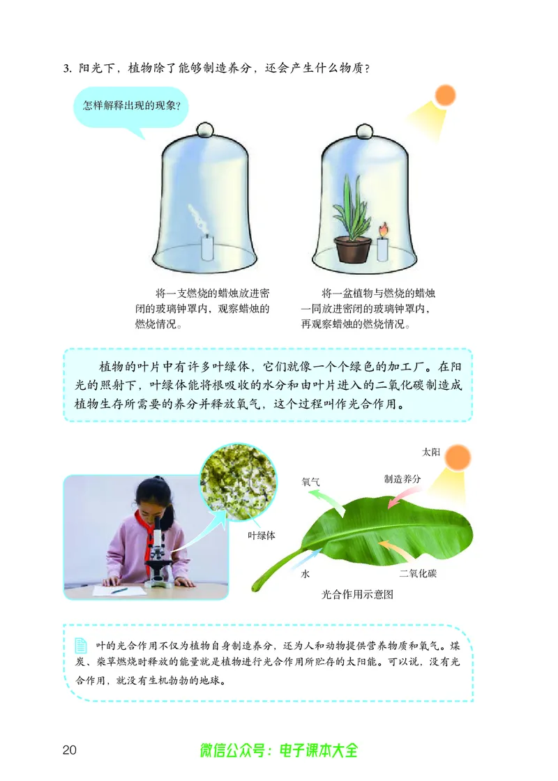 义务教育教科书科学六年级上册_电子课本_小学电子课本_05科学_人教版
