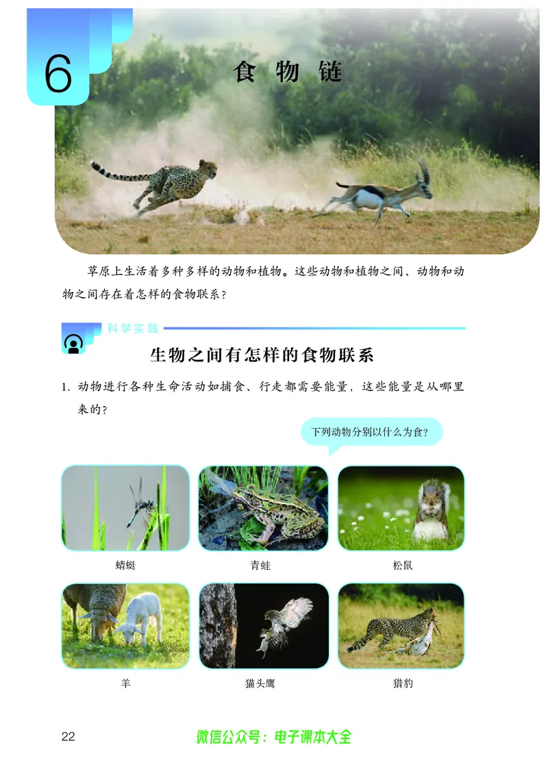 义务教育教科书科学六年级上册_电子课本_小学电子课本_05科学_人教版
