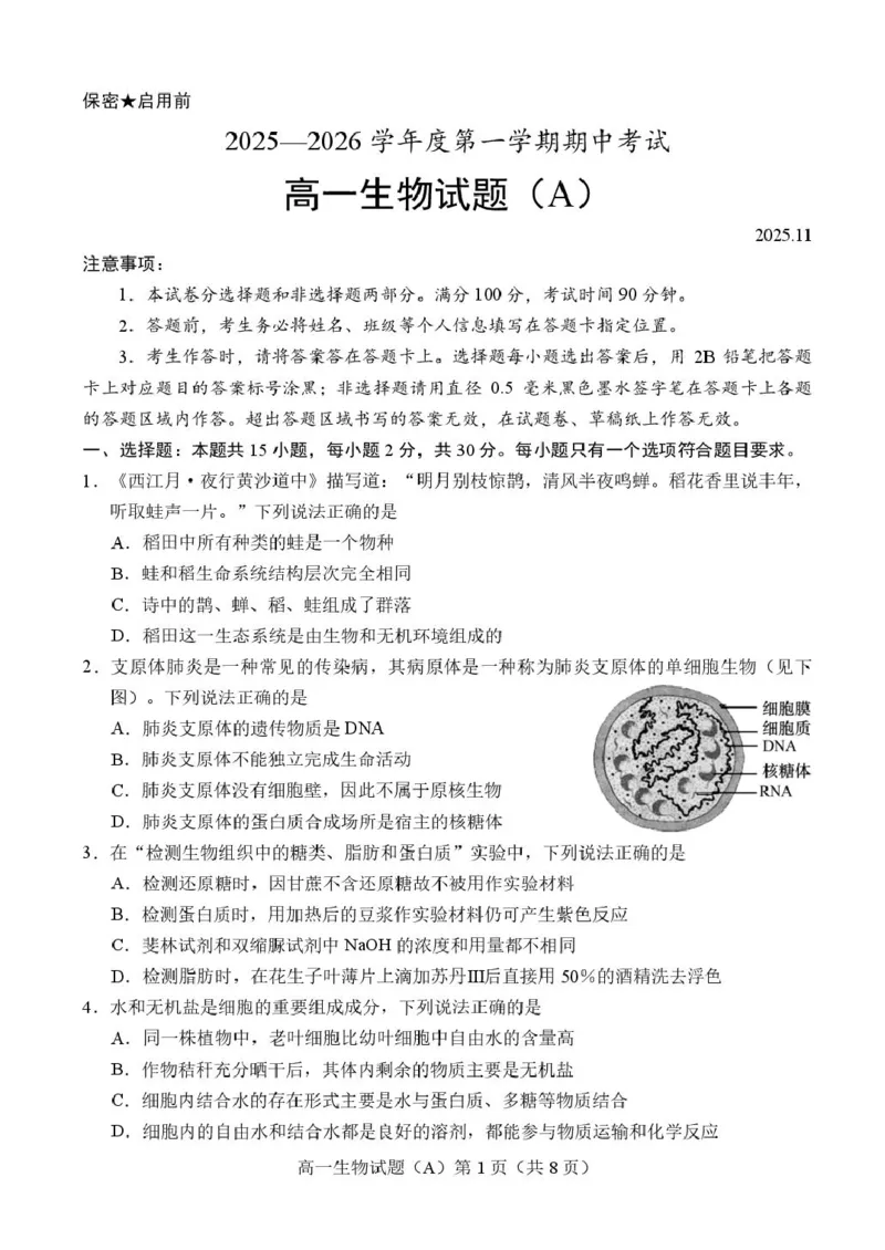 山东省菏泽市2025-2026学年高一上学期期中联考试题生物（A）PDF版含答案_2025年12月高一试卷_251222山东省菏泽市2025-2026学年高一上学期期中联考