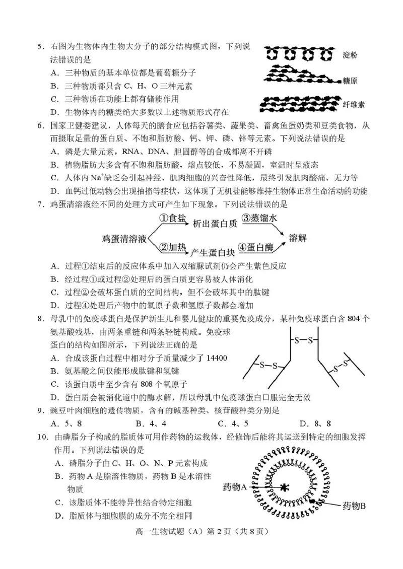 山东省菏泽市2025-2026学年高一上学期期中联考试题生物（A）PDF版含答案_2025年12月高一试卷_251222山东省菏泽市2025-2026学年高一上学期期中联考