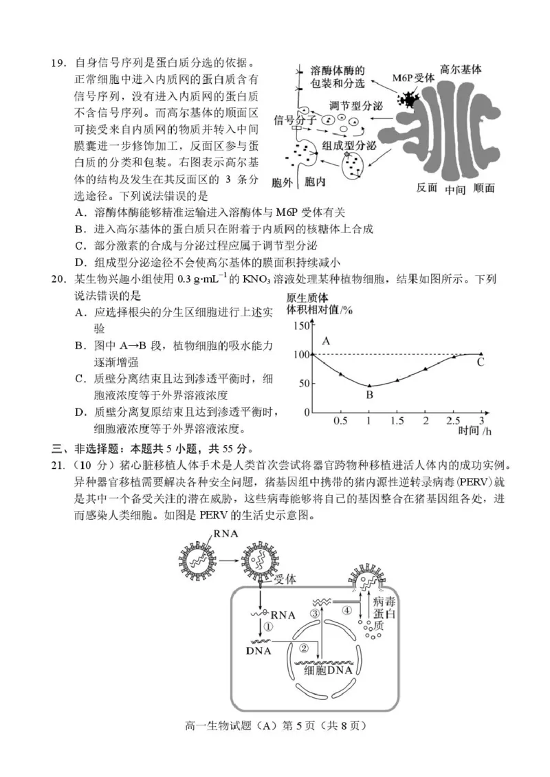 山东省菏泽市2025-2026学年高一上学期期中联考试题生物（A）PDF版含答案_2025年12月高一试卷_251222山东省菏泽市2025-2026学年高一上学期期中联考
