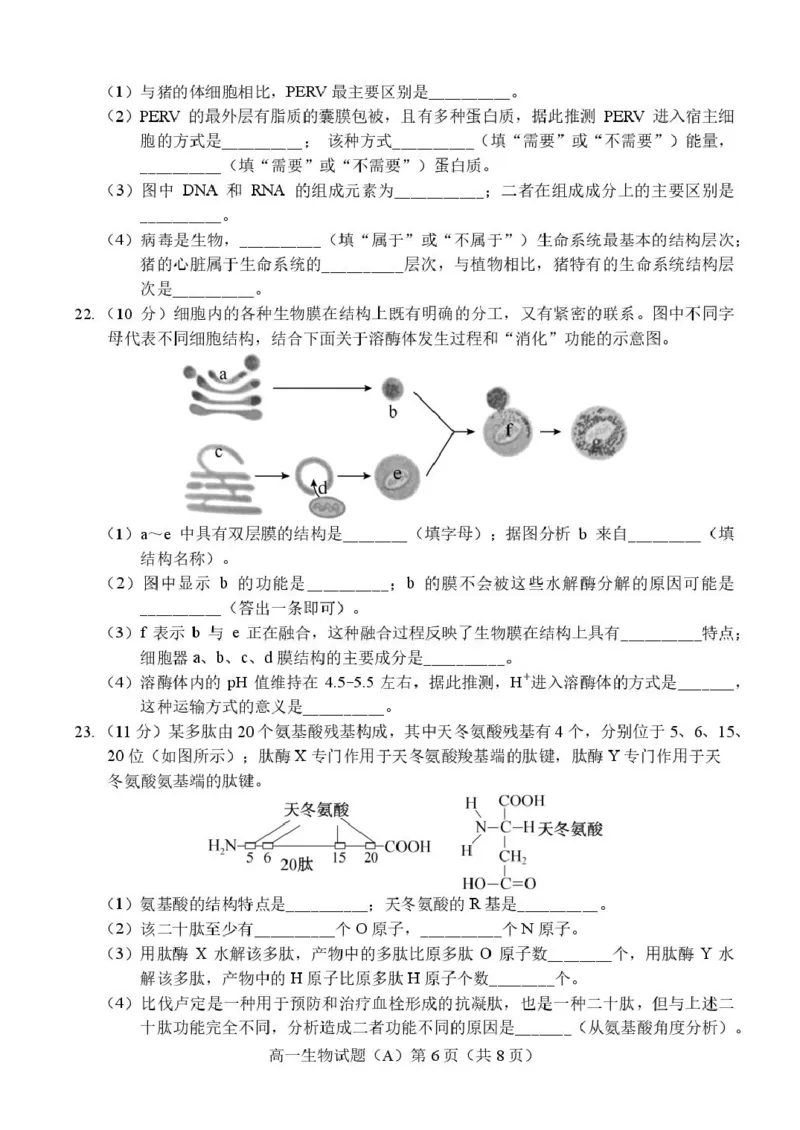 山东省菏泽市2025-2026学年高一上学期期中联考试题生物（A）PDF版含答案_2025年12月高一试卷_251222山东省菏泽市2025-2026学年高一上学期期中联考