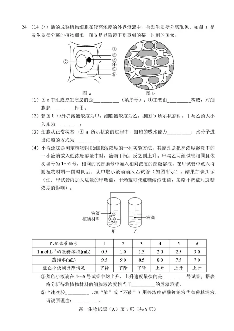 山东省菏泽市2025-2026学年高一上学期期中联考试题生物（A）PDF版含答案_2025年12月高一试卷_251222山东省菏泽市2025-2026学年高一上学期期中联考