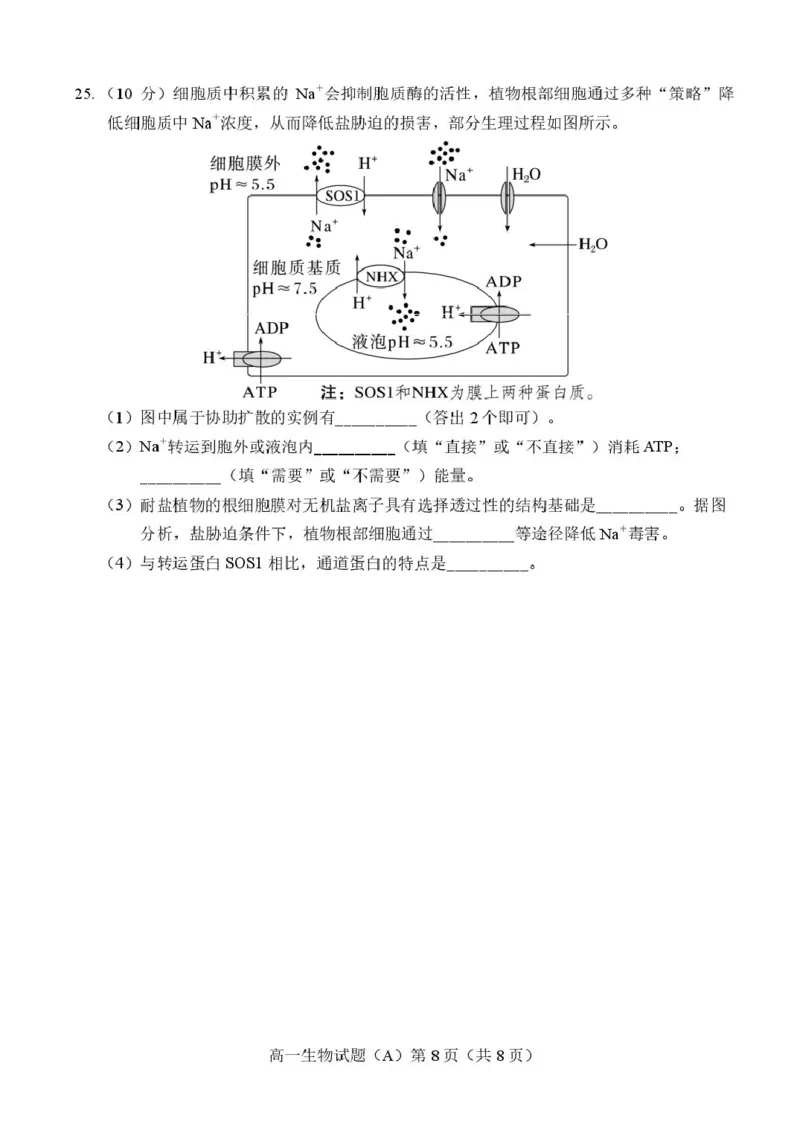 山东省菏泽市2025-2026学年高一上学期期中联考试题生物（A）PDF版含答案_2025年12月高一试卷_251222山东省菏泽市2025-2026学年高一上学期期中联考