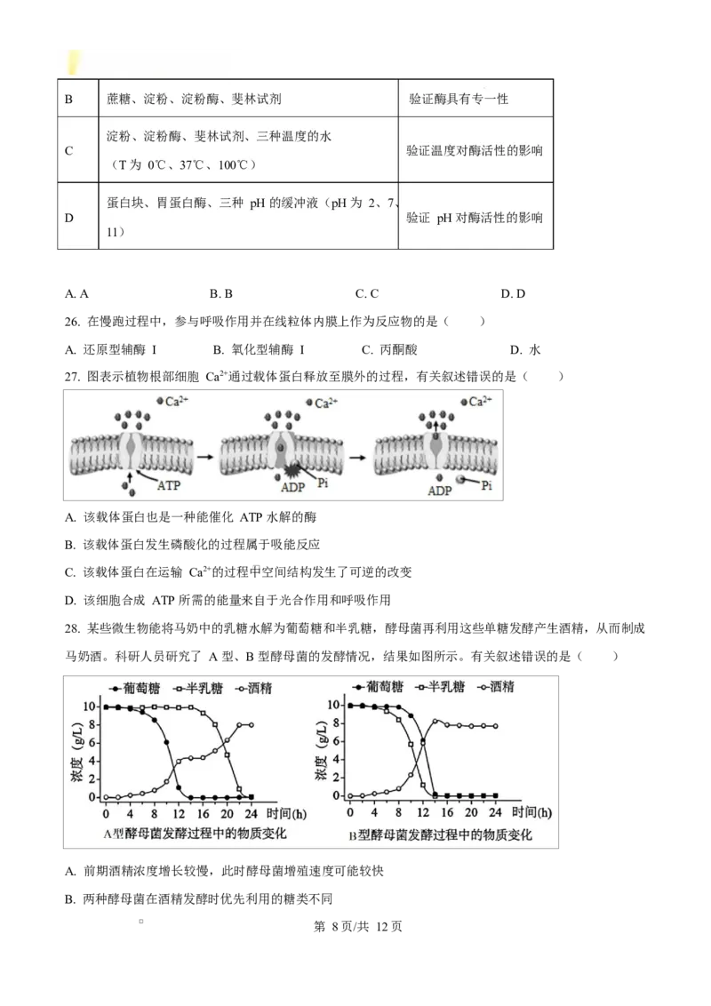 广东省江门市2024-2025学年高一上学期1月期末考试生物试题Word版无答案_2025年03月试卷_0310广东省江门市2024-2025学年高一上学期1月期末考试