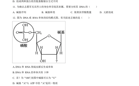 广东省江门市2024-2025学年高一上学期1月期末考试生物试题Word版无答案_2025年03月试卷_0310广东省江门市2024-2025学年高一上学期1月期末考试