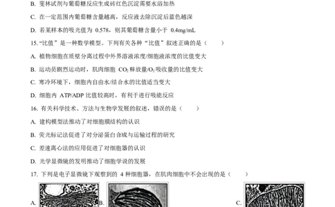 广东省江门市2024-2025学年高一上学期1月期末考试生物试题Word版无答案_2025年03月试卷_0310广东省江门市2024-2025学年高一上学期1月期末考试