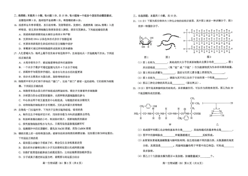 山东省菏泽市2025-2026学年高一上学期期中联考试题生物（B）PDF版含答案_2025年12月高一试卷_251222山东省菏泽市2025-2026学年高一上学期期中联考