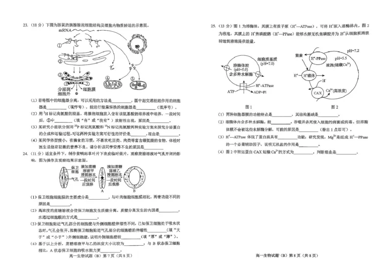 山东省菏泽市2025-2026学年高一上学期期中联考试题生物（B）PDF版含答案_2025年12月高一试卷_251222山东省菏泽市2025-2026学年高一上学期期中联考
