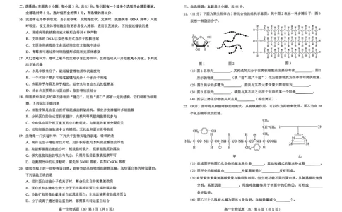 山东省菏泽市2025-2026学年高一上学期期中联考试题生物（B）PDF版含答案_2025年12月高一试卷_251222山东省菏泽市2025-2026学年高一上学期期中联考