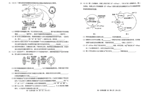 山东省菏泽市2025-2026学年高一上学期期中联考试题生物（B）PDF版含答案_2025年12月高一试卷_251222山东省菏泽市2025-2026学年高一上学期期中联考