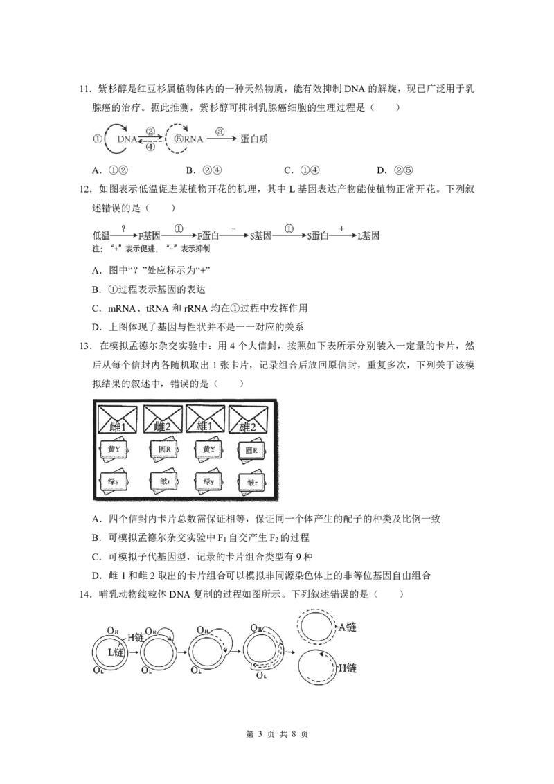 广东实验中学2024-2025学年下期中考试生物学_2025年05月试卷_0519广东实验中学2024-2025学年高一下学期期中考试_广东实验中学2024-2025学年高一下学期期中考试生物Word版含答案