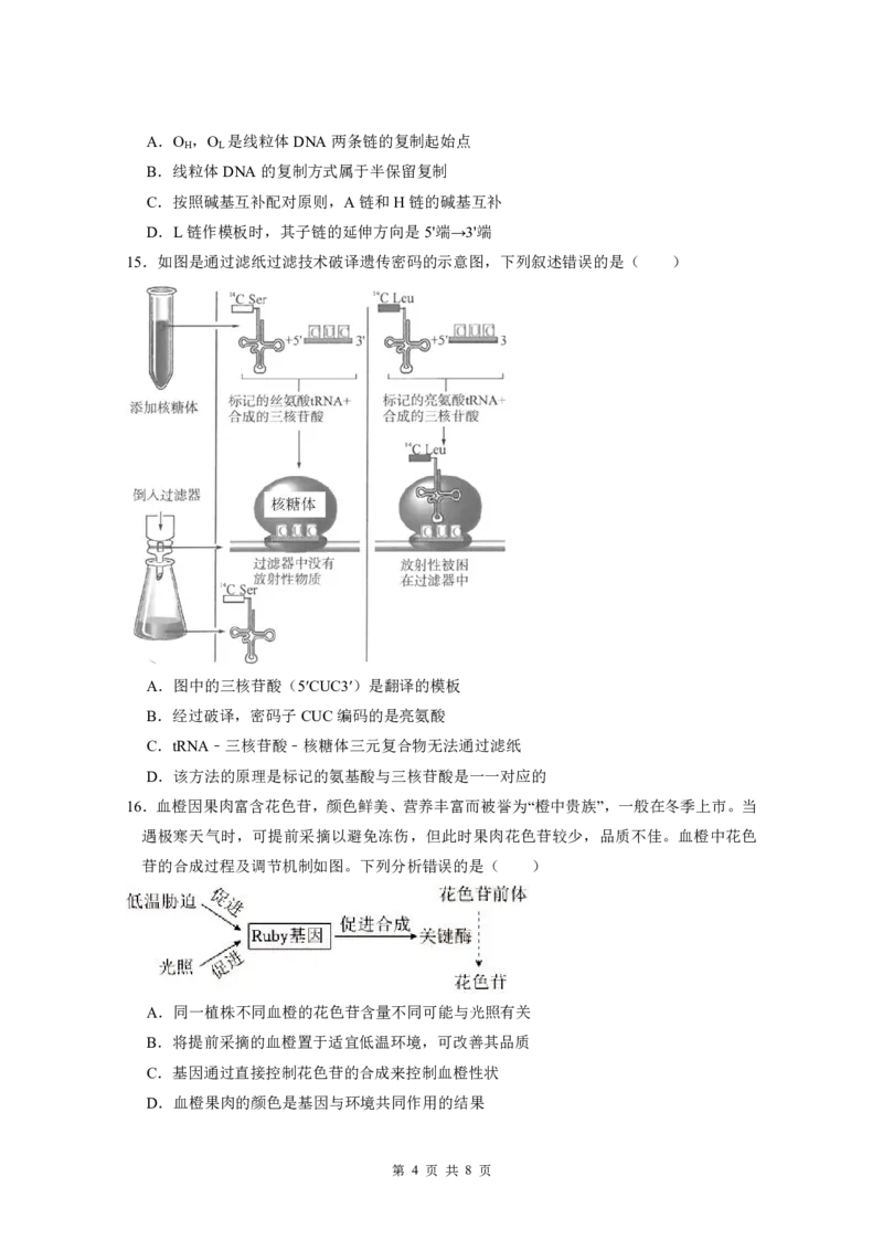 广东实验中学2024-2025学年下期中考试生物学_2025年05月试卷_0519广东实验中学2024-2025学年高一下学期期中考试_广东实验中学2024-2025学年高一下学期期中考试生物Word版含答案