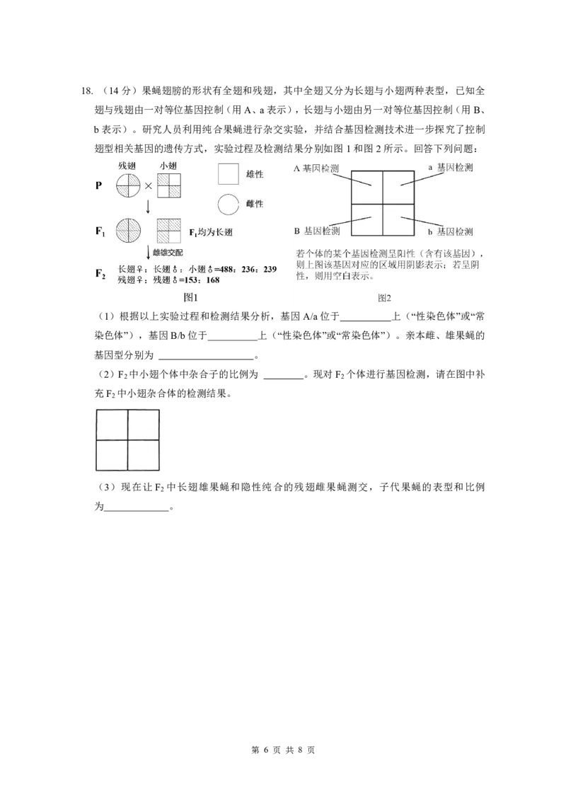 广东实验中学2024-2025学年下期中考试生物学_2025年05月试卷_0519广东实验中学2024-2025学年高一下学期期中考试_广东实验中学2024-2025学年高一下学期期中考试生物Word版含答案