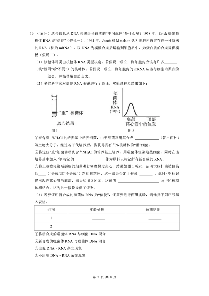 广东实验中学2024-2025学年下期中考试生物学_2025年05月试卷_0519广东实验中学2024-2025学年高一下学期期中考试_广东实验中学2024-2025学年高一下学期期中考试生物Word版含答案