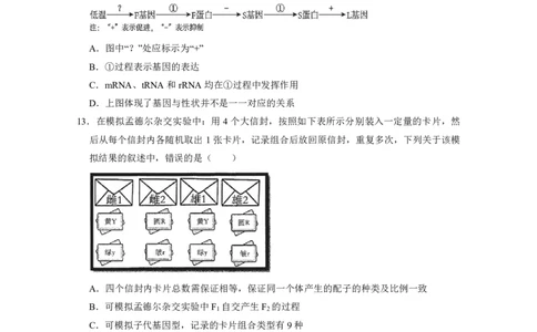 广东实验中学2024-2025学年下期中考试生物学_2025年05月试卷_0519广东实验中学2024-2025学年高一下学期期中考试_广东实验中学2024-2025学年高一下学期期中考试生物Word版含答案