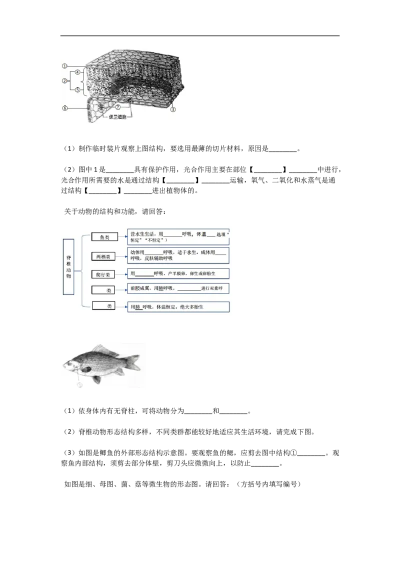 2018年上海市中考生物真题（空白卷）_0122026上海中考一模二模真题试卷_2026年上海一模_上海1500初中高中试卷_初中_上海市历年中考真题_上海市历年中考真题_生物历年中考真题