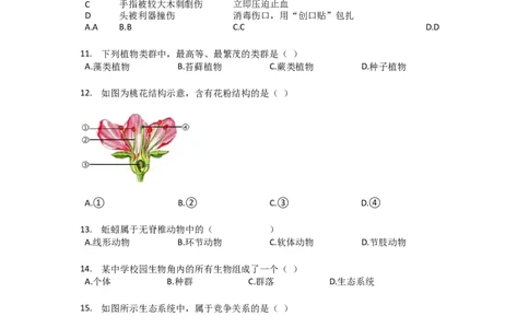 2018年上海市中考生物真题（空白卷）_0122026上海中考一模二模真题试卷_2026年上海一模_上海1500初中高中试卷_初中_上海市历年中考真题_上海市历年中考真题_生物历年中考真题