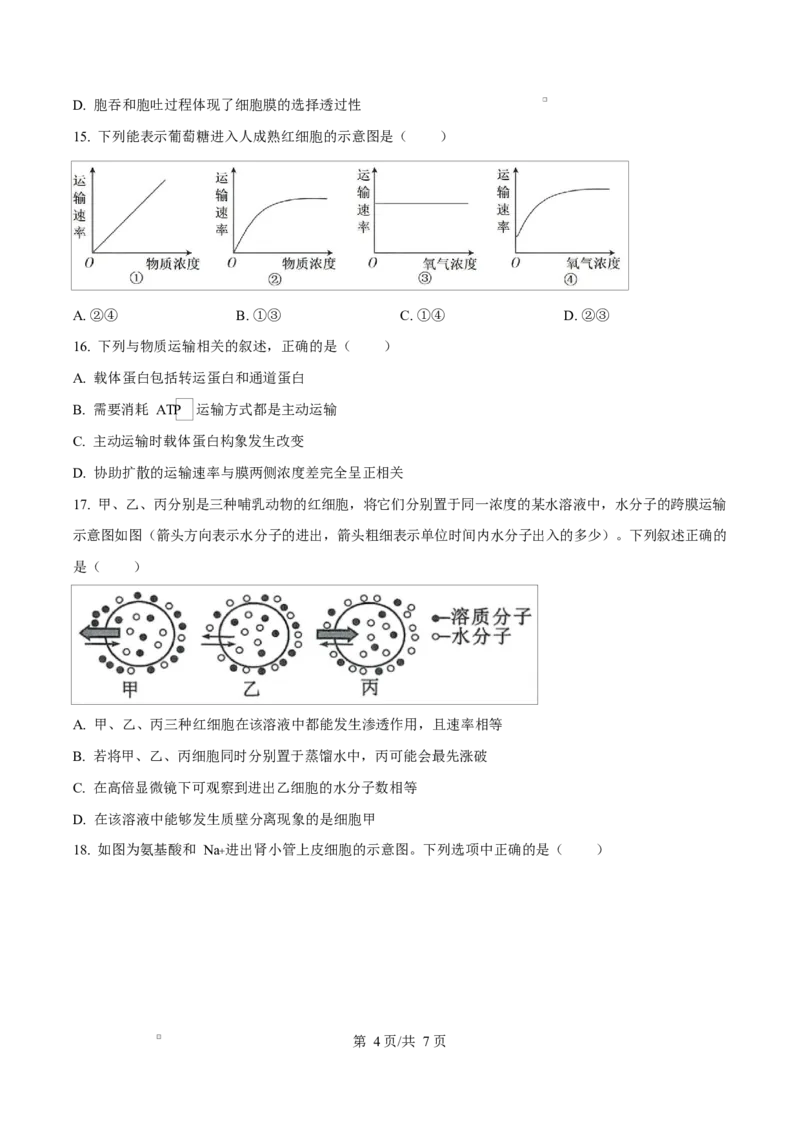 广东省惠州市2024-2025学年高一上学期期末质量检测生物试卷Word版无答案_2025年02月试卷_0221广东省惠州市2024-2025学年高一上学期期末考试