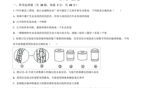 广东省惠州市2024-2025学年高一上学期期末质量检测生物试卷Word版无答案_2025年02月试卷_0221广东省惠州市2024-2025学年高一上学期期末考试