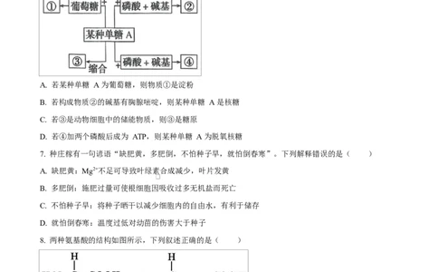 广东省惠州市2024-2025学年高一上学期期末质量检测生物试卷Word版无答案_2025年02月试卷_0221广东省惠州市2024-2025学年高一上学期期末考试