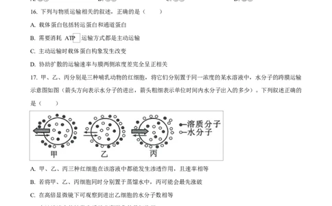 广东省惠州市2024-2025学年高一上学期期末质量检测生物试卷Word版无答案_2025年02月试卷_0221广东省惠州市2024-2025学年高一上学期期末考试