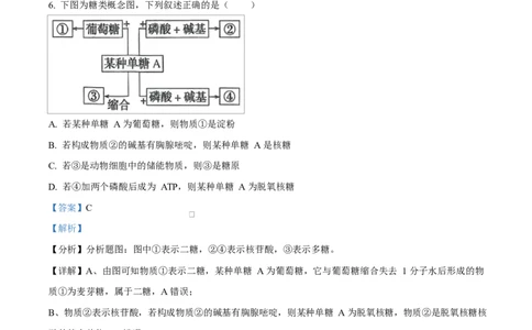 广东省惠州市2024-2025学年高一上学期期末质量检测生物试卷Word版含解析_2025年02月试卷_0221广东省惠州市2024-2025学年高一上学期期末考试