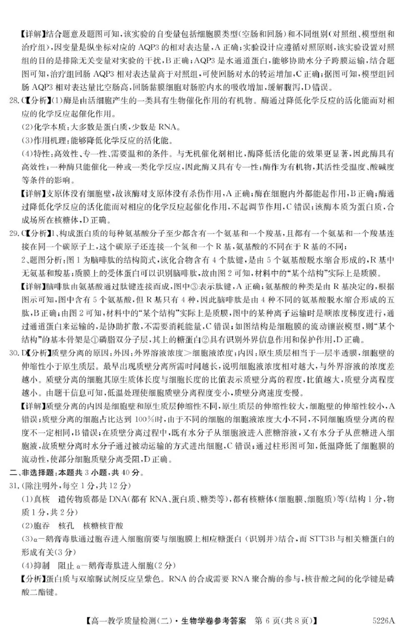 广东省八校联盟2024-2025学年高一上学期教学质量检测（二）生物答案（图片版）_2025年01月试卷_0103广东省清远市八校联盟2024-2025学年高一上学期教学质量检测（二）