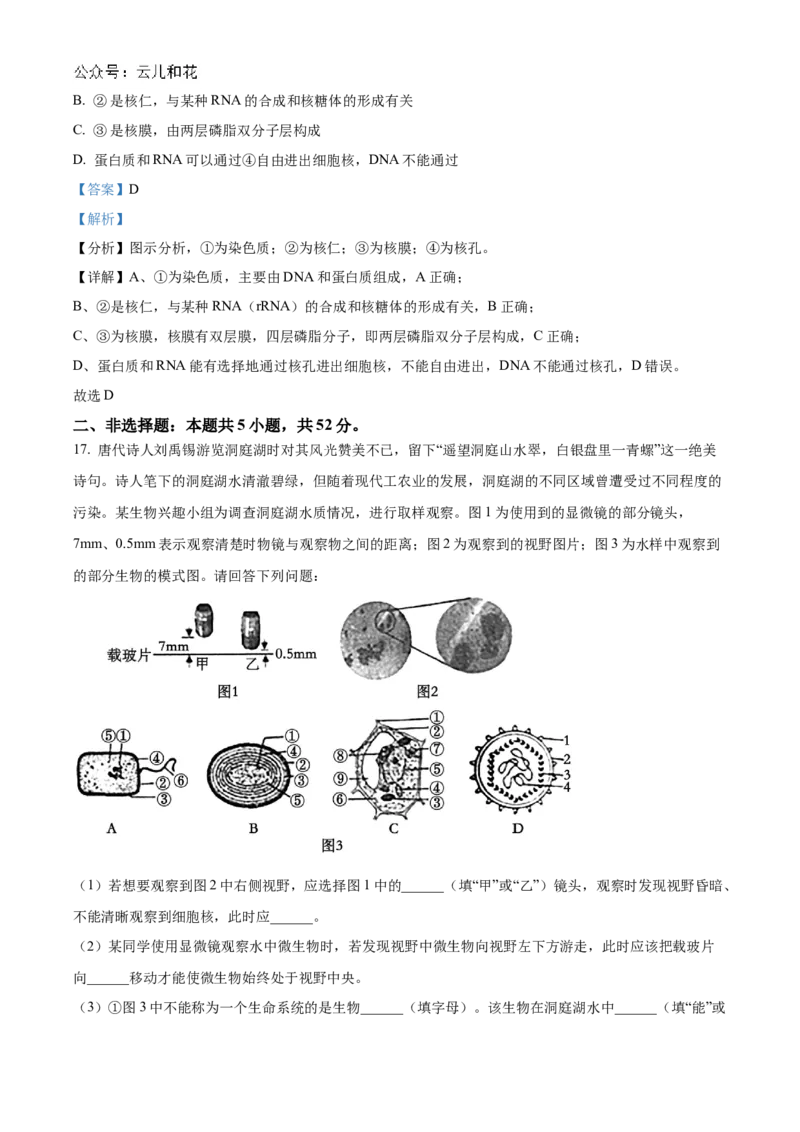 山西省部分学校2024-2025学年高一上学期11月期中质量检测生物试题Word版含解析_2024年12月试卷_1209山西省部分学校2024-2025学年高一上学期11月期中考试