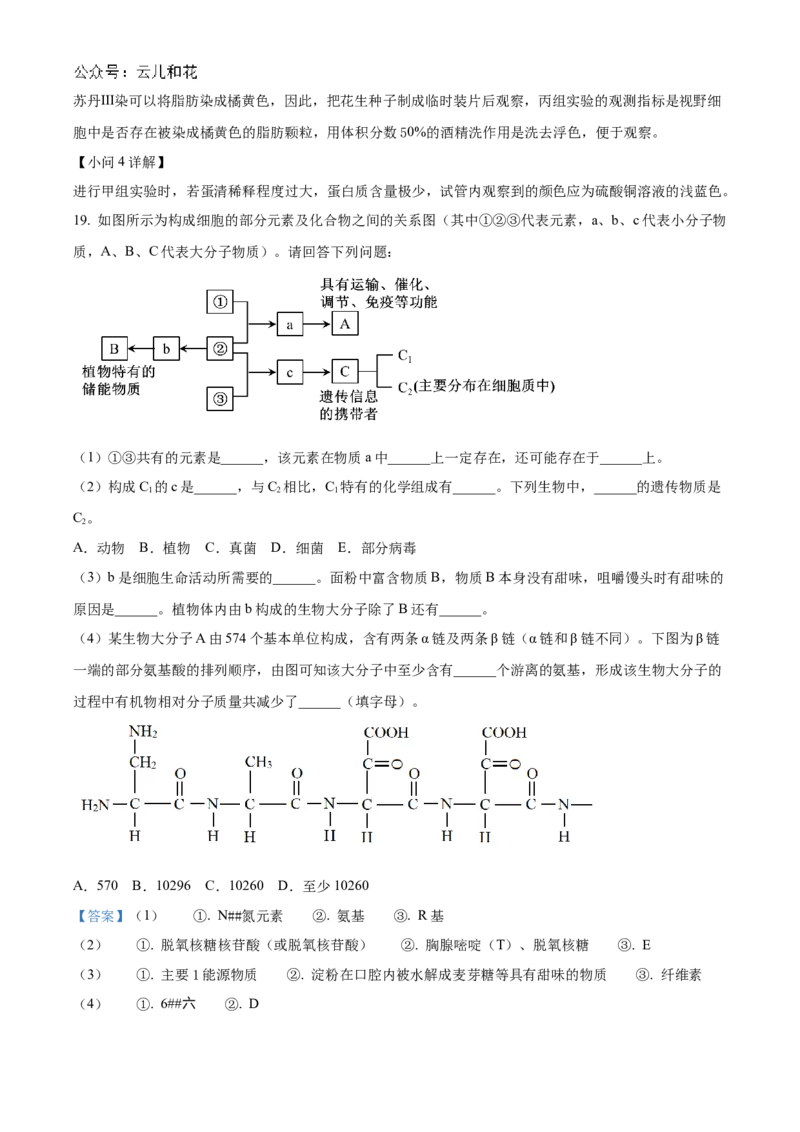山西省部分学校2024-2025学年高一上学期11月期中质量检测生物试题Word版含解析_2024年12月试卷_1209山西省部分学校2024-2025学年高一上学期11月期中考试