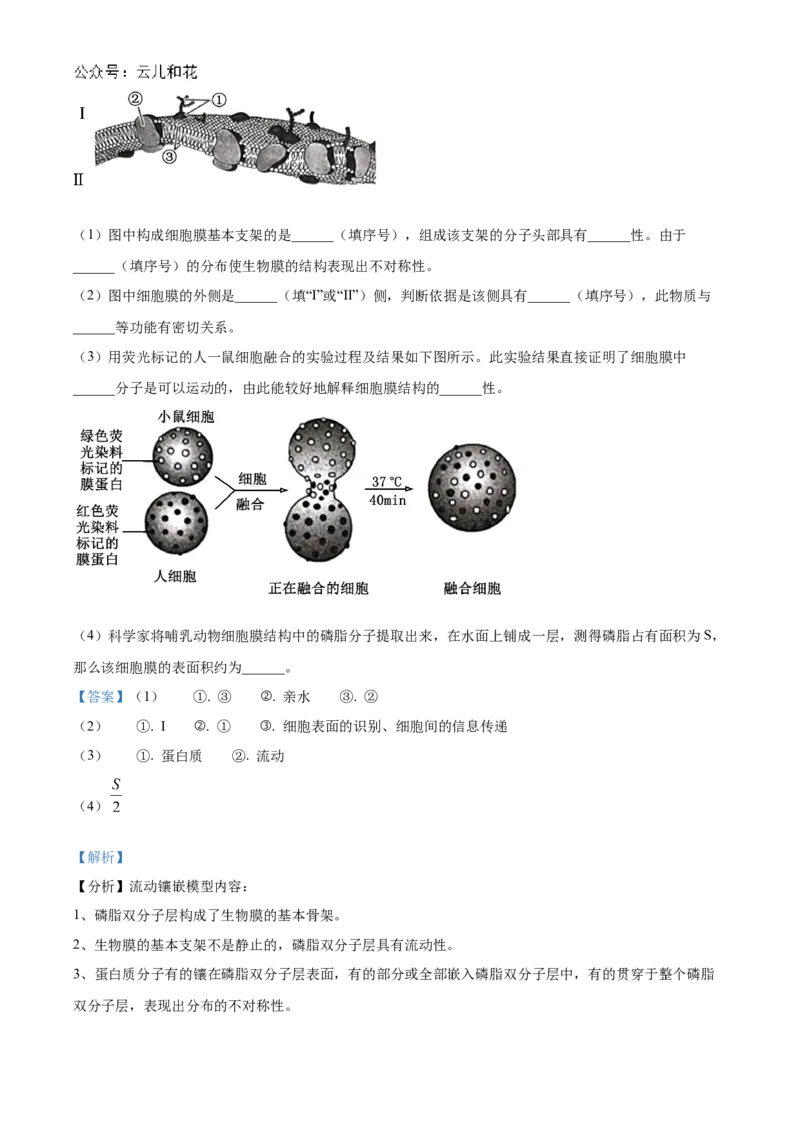 山西省部分学校2024-2025学年高一上学期11月期中质量检测生物试题Word版含解析_2024年12月试卷_1209山西省部分学校2024-2025学年高一上学期11月期中考试