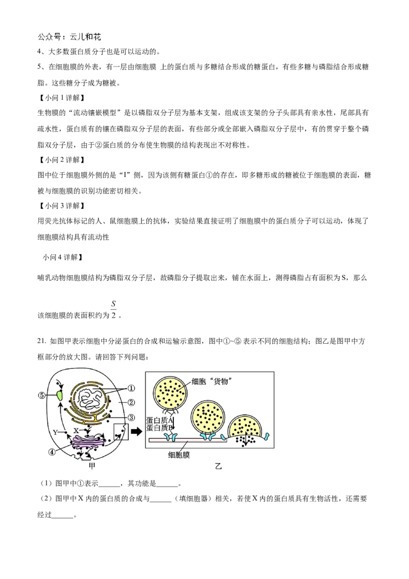 山西省部分学校2024-2025学年高一上学期11月期中质量检测生物试题Word版含解析_2024年12月试卷_1209山西省部分学校2024-2025学年高一上学期11月期中考试