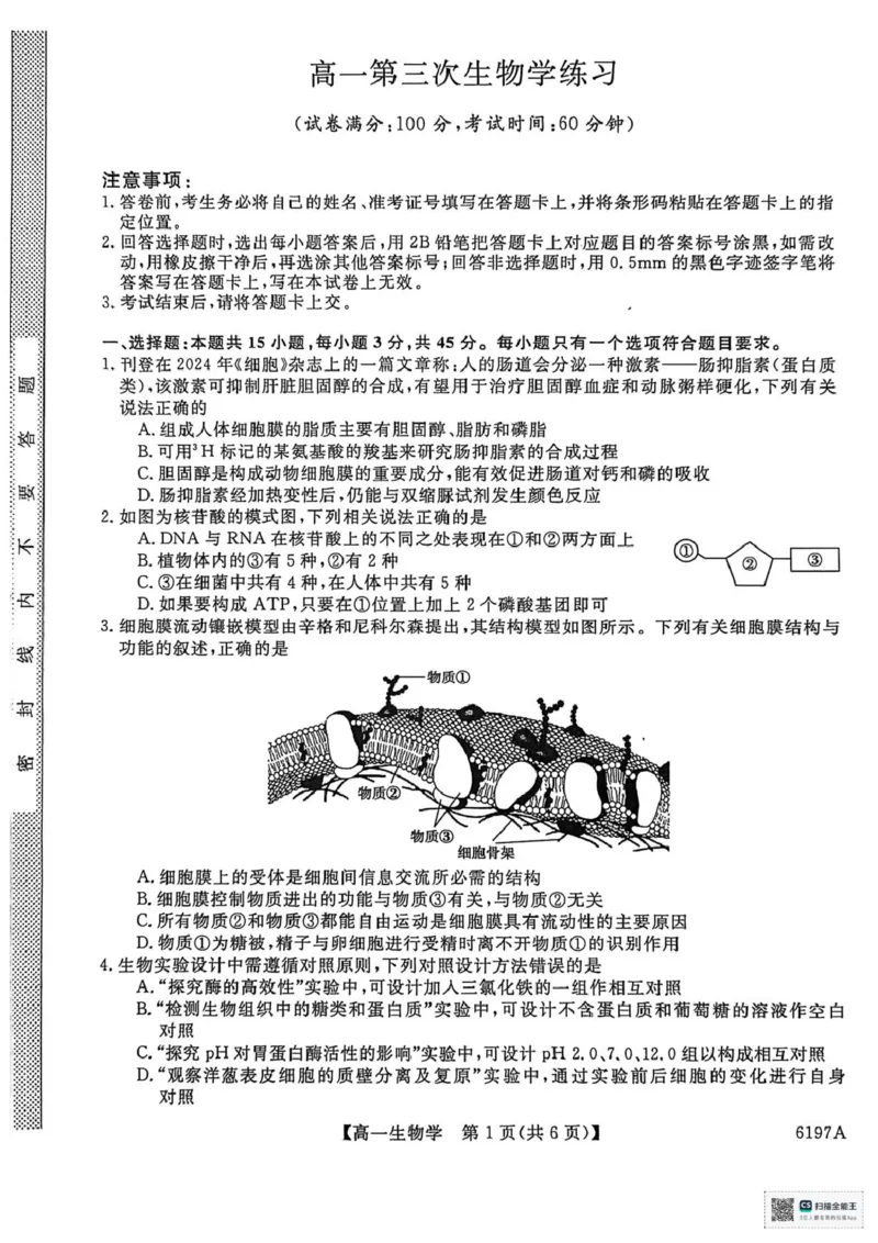 山东省菏泽市鄄城县第一中学2025-2026学年高一上学期12月月考生物试题（PDF版，含部分解析）_2025年12月高一试卷_251219山东省菏泽市鄄城县第一中学2025-2026学年高一上学期12月月考（全）