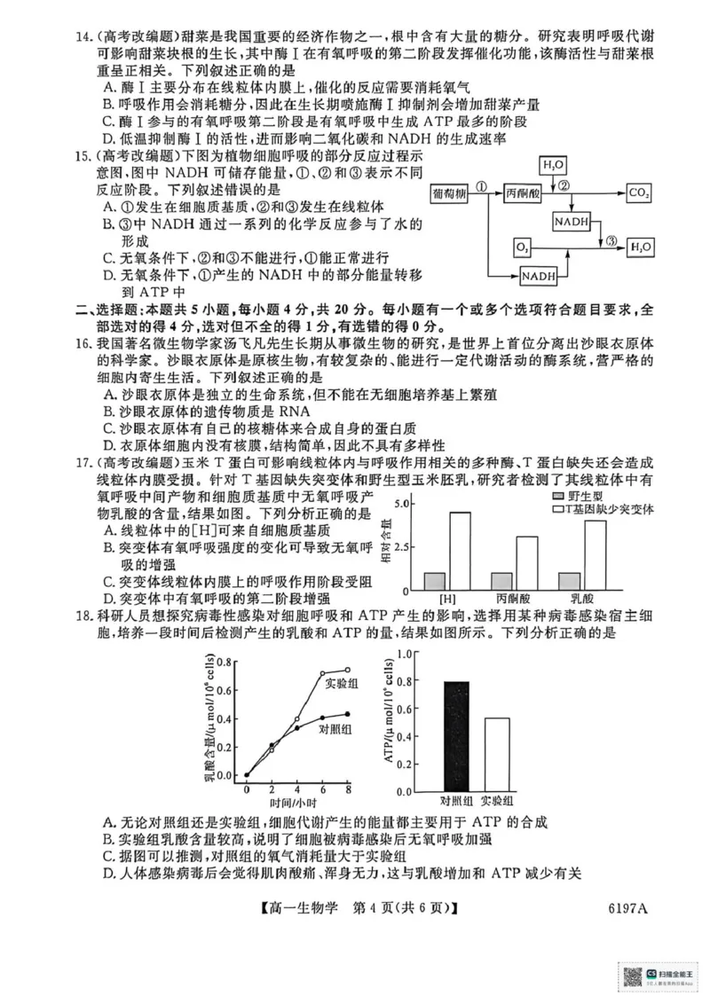 山东省菏泽市鄄城县第一中学2025-2026学年高一上学期12月月考生物试题（PDF版，含部分解析）_2025年12月高一试卷_251219山东省菏泽市鄄城县第一中学2025-2026学年高一上学期12月月考（全）