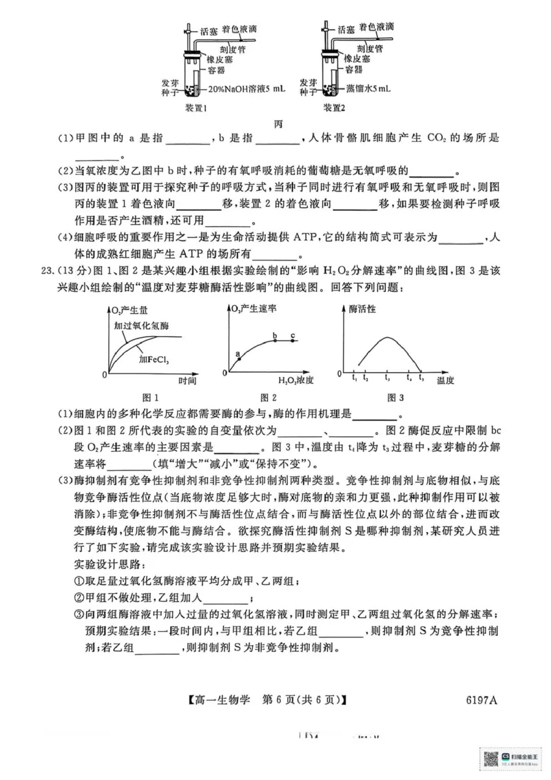 山东省菏泽市鄄城县第一中学2025-2026学年高一上学期12月月考生物试题（PDF版，含部分解析）_2025年12月高一试卷_251219山东省菏泽市鄄城县第一中学2025-2026学年高一上学期12月月考（全）