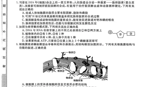 山东省菏泽市鄄城县第一中学2025-2026学年高一上学期12月月考生物试题（PDF版，含部分解析）_2025年12月高一试卷_251219山东省菏泽市鄄城县第一中学2025-2026学年高一上学期12月月考（全）