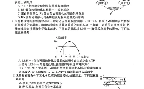山东省菏泽市鄄城县第一中学2025-2026学年高一上学期12月月考生物试题（PDF版，含部分解析）_2025年12月高一试卷_251219山东省菏泽市鄄城县第一中学2025-2026学年高一上学期12月月考（全）
