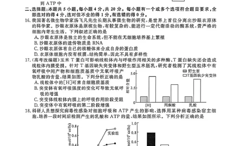 山东省菏泽市鄄城县第一中学2025-2026学年高一上学期12月月考生物试题（PDF版，含部分解析）_2025年12月高一试卷_251219山东省菏泽市鄄城县第一中学2025-2026学年高一上学期12月月考（全）