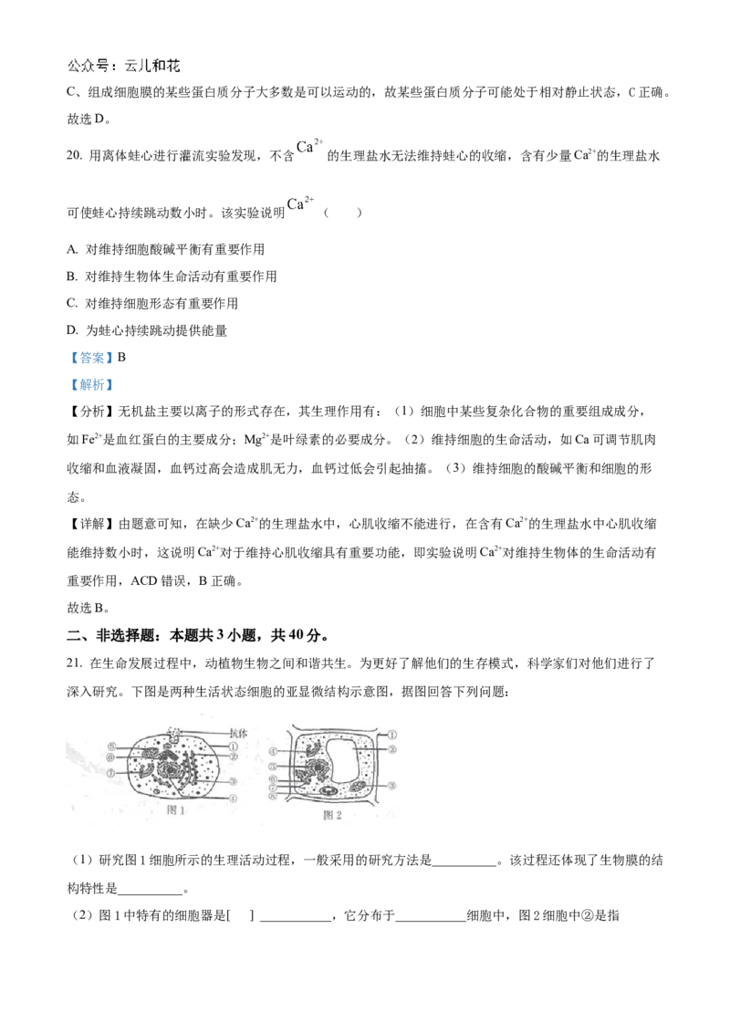广东省清远市九校联考2024-2025学年高一上学期11月期中生物试题Word版含解析_2024年11月试卷_1127广东省清远市九校2024-2025学年高一上学期11月期中联考