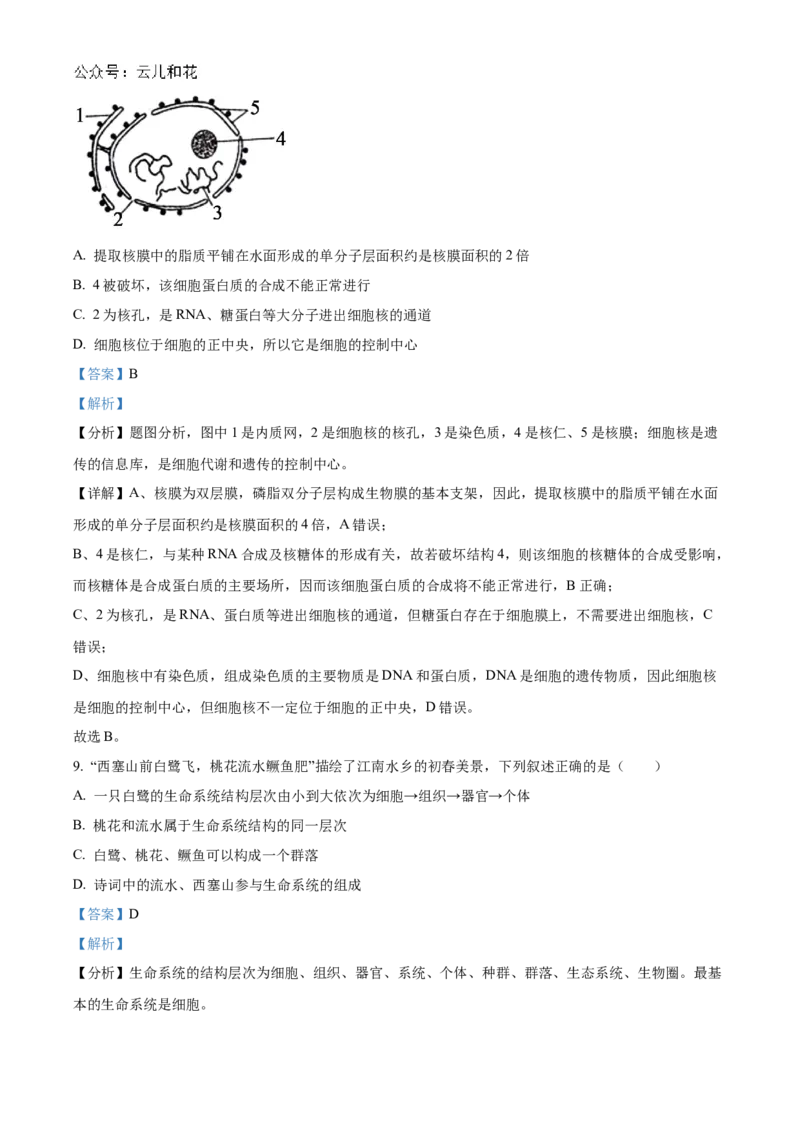 广东省清远市九校联考2024-2025学年高一上学期11月期中生物试题Word版含解析_2024年11月试卷_1127广东省清远市九校2024-2025学年高一上学期11月期中联考