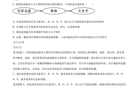 广东省清远市九校联考2024-2025学年高一上学期11月期中生物试题Word版含解析_2024年11月试卷_1127广东省清远市九校2024-2025学年高一上学期11月期中联考