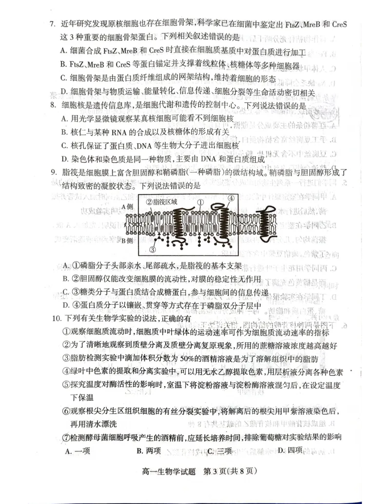 山西省阳泉市2025-2026学年度第一学期期末教学质量监测试题高一生物试卷_2026年02月高一试卷_260216山西省阳泉市2025-2026学年上学期期末高一