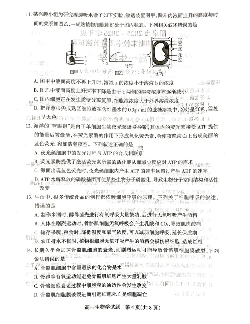 山西省阳泉市2025-2026学年度第一学期期末教学质量监测试题高一生物试卷_2026年02月高一试卷_260216山西省阳泉市2025-2026学年上学期期末高一