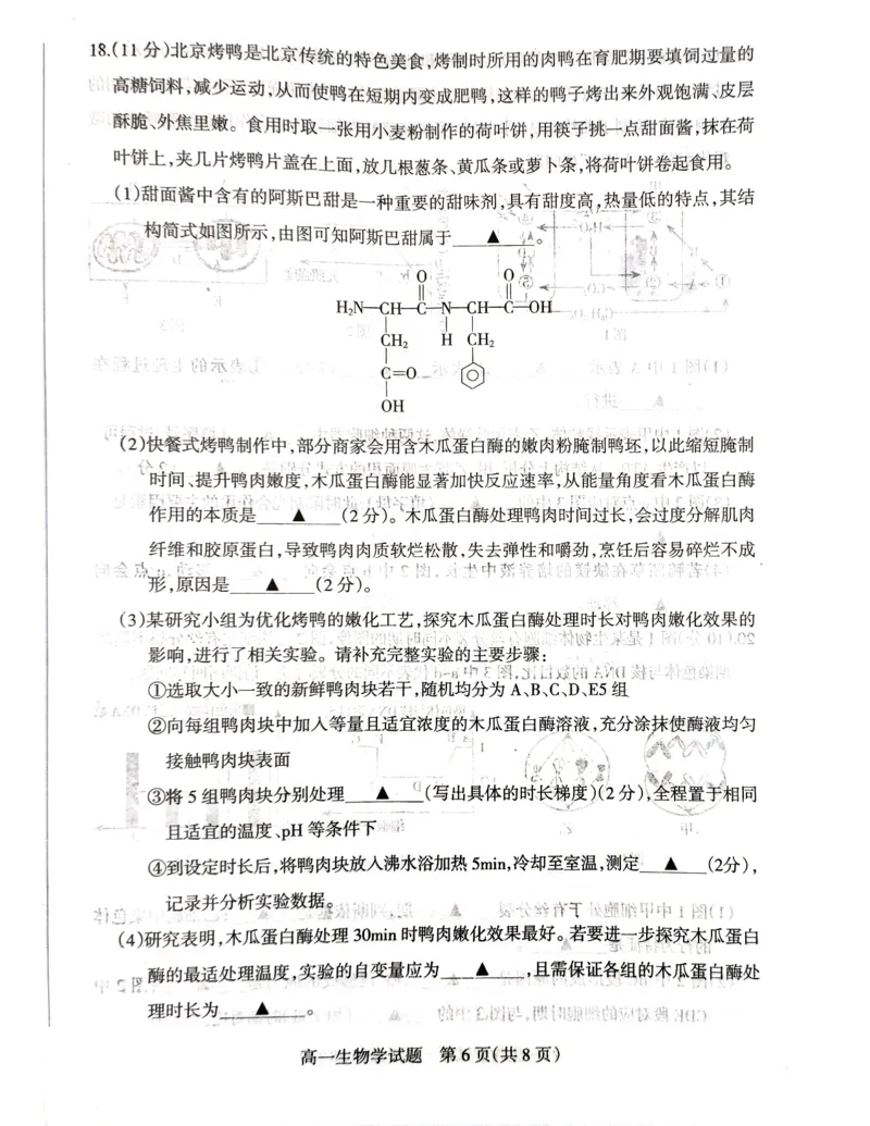 山西省阳泉市2025-2026学年度第一学期期末教学质量监测试题高一生物试卷_2026年02月高一试卷_260216山西省阳泉市2025-2026学年上学期期末高一