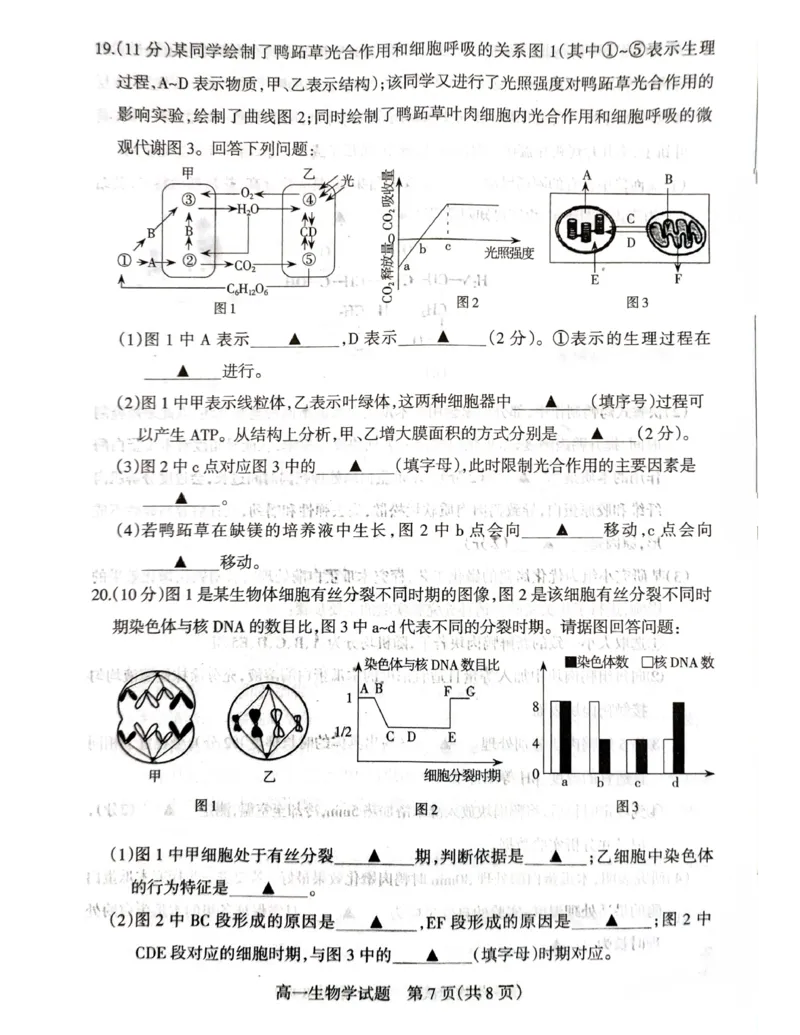 山西省阳泉市2025-2026学年度第一学期期末教学质量监测试题高一生物试卷_2026年02月高一试卷_260216山西省阳泉市2025-2026学年上学期期末高一