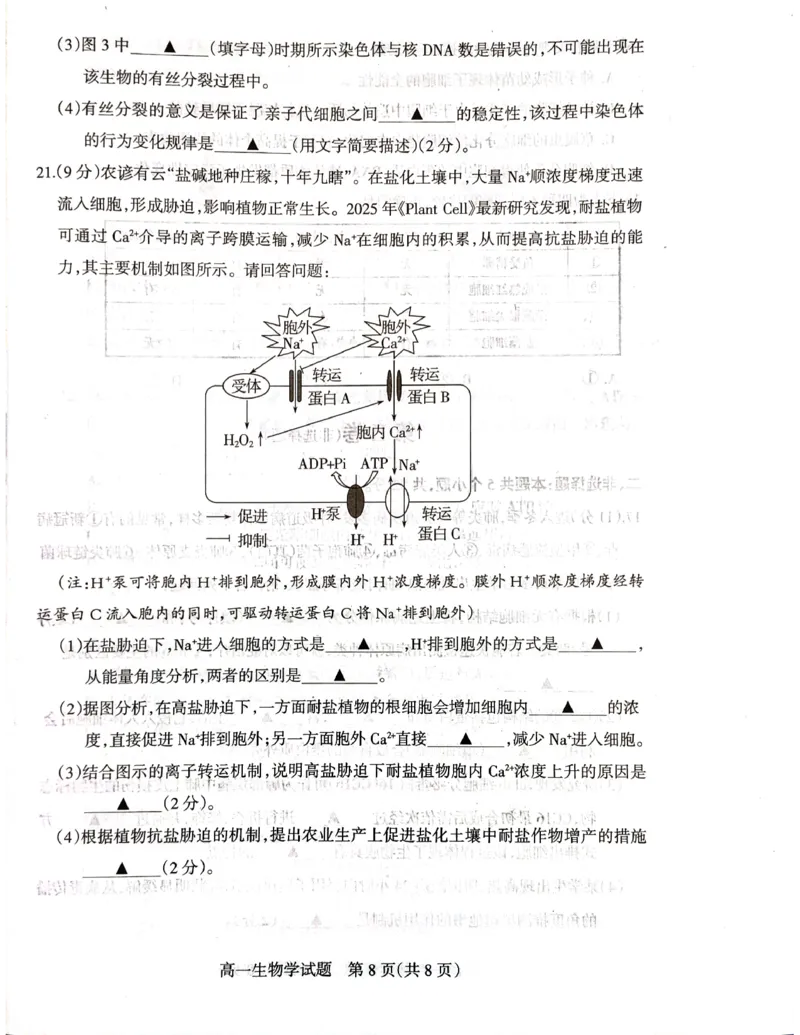 山西省阳泉市2025-2026学年度第一学期期末教学质量监测试题高一生物试卷_2026年02月高一试卷_260216山西省阳泉市2025-2026学年上学期期末高一