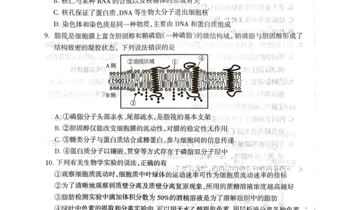 山西省阳泉市2025-2026学年度第一学期期末教学质量监测试题高一生物试卷_2026年02月高一试卷_260216山西省阳泉市2025-2026学年上学期期末高一